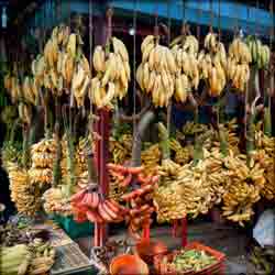 different types of Kerala bananas on display at a Kerala fruit vendor