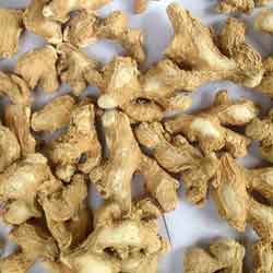 Ginger is dried to give Chukku which is exported